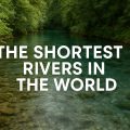 Shortest rivers in the world