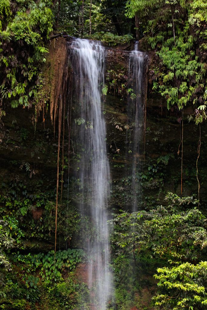 Bukit Lambir National Park
