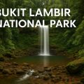 Bukit Lambir National Park